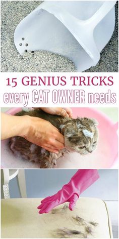 there is a cat that is getting its hair brushed by someone's hand and the caption reads, 15 genius tricks every cat owner needs