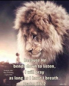 Lion Of Judah Jesus, Faith Verses, Powerful Bible Verses, Prayer Times, Inspirational Quotes God, Prayer Scriptures, Lion Of Judah, Bible Knowledge