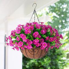 a hanging planter filled with pink flowers