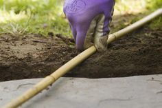 a person wearing purple gloves and gardening gloves is digging in the dirt with a garden tool