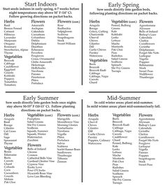 four different types of plants and flowers with the words, early spring, early summer, and mid - summer