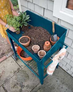 a blue cart filled with potted plants and dirt