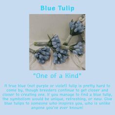 blue tulips are arranged on a white sheet with the words, one of a kind