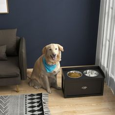 a dog sitting on the floor next to his food bowl