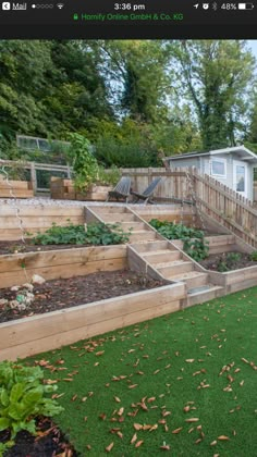 an image of a backyard with grass and plants