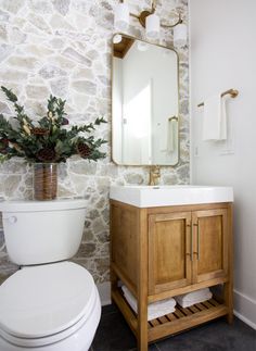 a white toilet sitting next to a wooden cabinet under a bathroom mirror with pine cones on it