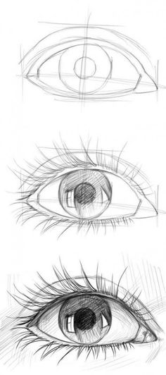 three different views of an eye