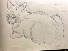 a pencil drawing of a cat laying down