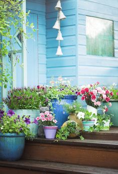 several potted plants are sitting on the steps in front of a blue house with white trim