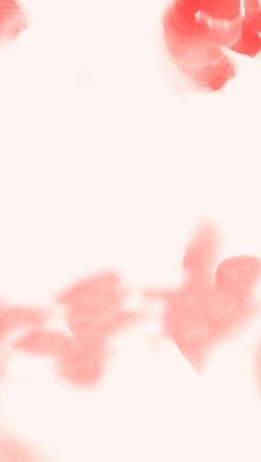 blurry photograph of red hearts on white background