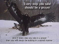 an eagle with its wings spread out in the snow, with a quote about prayer