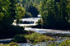 a river running through a forest filled with lots of trees and water flowing down it