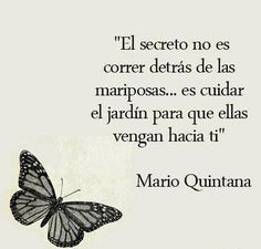 a black and white photo with a butterfly on it's back, the caption reads el secreto no es correr detras de las marpoas