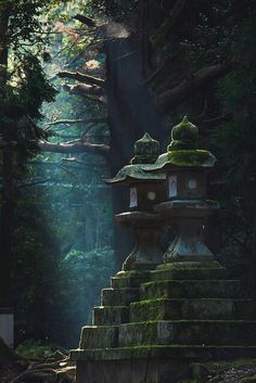 a stone pagoda in the middle of a forest with trees around it and sunlight streaming through the sky