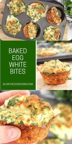 baked egg white bites in a muffin tin