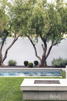 a large tree sitting in the middle of a lush green field next to a swimming pool