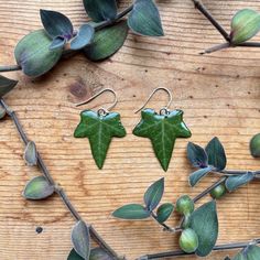 some green leaves are laying on a wooden surface and next to it is a pair of earrings