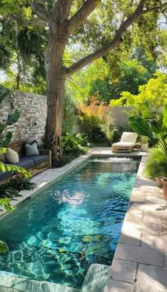 an outdoor swimming pool surrounded by trees and plants