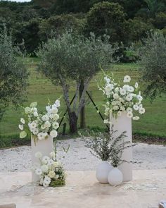 two vases filled with white flowers sitting on top of a stone floor next to an olive tree