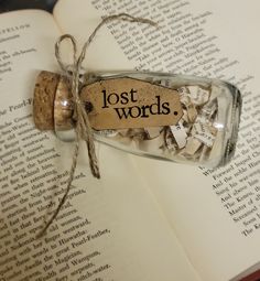 an open book with a message in a glass bottle on top of it that says lost words