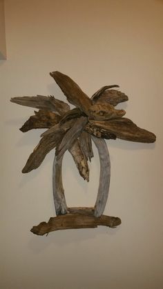 a piece of driftwood hanging on the wall