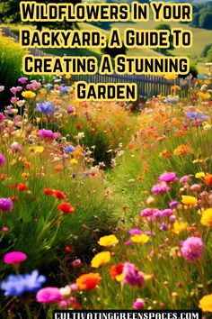 colorful flowers in the grass with text that reads, i'm not sure how to get wildflowers in your backyard a guide to creating a stunning garden