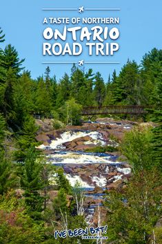 the cover of taste of northern ontario road trip, with trees and water in the background