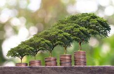 stacks of coins with trees growing out of them on top of each other in front of green