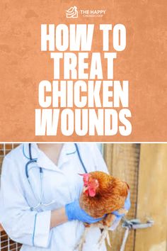 Chicken Wound Care | The Happy Chicken Coop