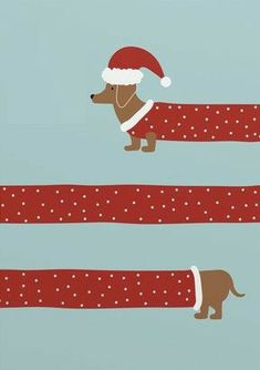 a dachshund dog wearing a santa hat and scarf