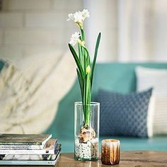 a glass vase filled with flowers sitting on top of a table next to a book