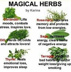 Magickal Herbs, Witch Herbs, Magic Herbs, Magical Herbs, Healing Plants, Herbal Healing, Herbal Magic, Herbs For Health