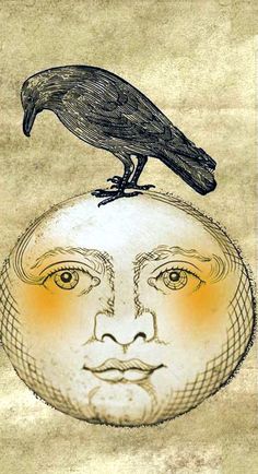 a drawing of a bird sitting on top of a man's head with an orange light