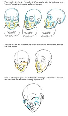 how to draw the human head and neck in 3 easy steps step by step instructions for beginners