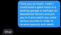 a text message that reads, i love you so much i wish i could build a giant maze in a parking garage or perhaps an abandoned factory and put