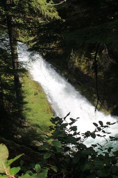 a waterfall in the middle of a forest with lots of trees on both sides and water running down it