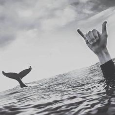 a person in the water with their hand up and a whale tail sticking out of the water