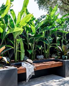 a wooden bench sitting in front of a lush green plant filled wall next to a tree