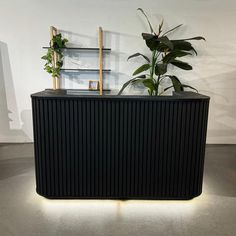 there is a plant on top of a black box in the middle of a room