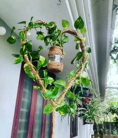 a heart shaped plant hanging from the side of a building with potted plants in it