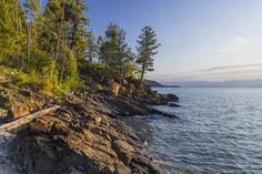 a rocky shore with trees and water in the background