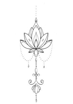 a drawing of a lotus flower on a white background