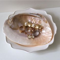 an oyster shell with rings on it and other jewelry items in the shell, sitting on a white surface