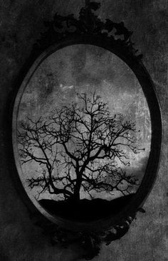 a black and white photo of a tree in a mirror