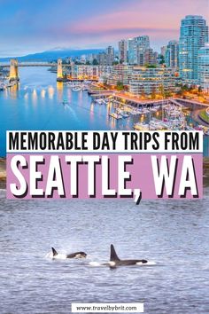 two orca whales swimming in the water with text overlay that reads memorable day trips from seattle, wa