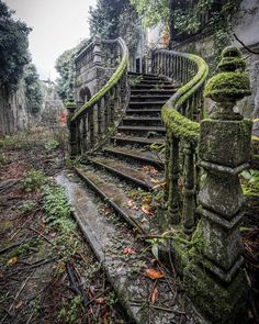 an old set of stairs with moss growing on it