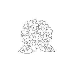 a black and white drawing of flowers with leaves