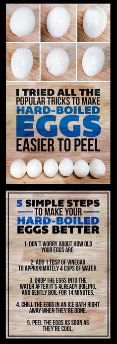 the instructions for how to make an egg shell