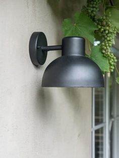 an outdoor wall light on the side of a building with grapes hanging from it's sides