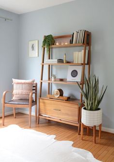 a living room with a book shelf, chair and potted plant on the floor